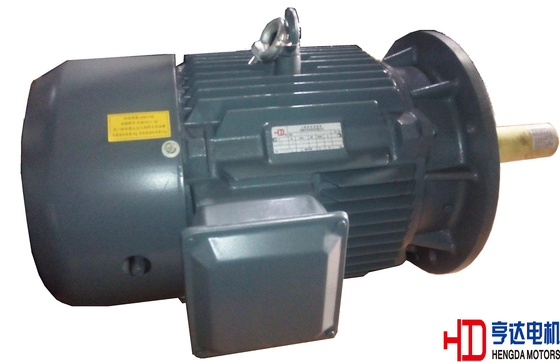 High Temperature Resistant Three Phase Asynchronous Motors  H132 cast iron frame