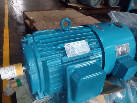 High Torque Three Phase Asynchronous Motor 380V 50HZ With H100 Cast Iron Frame
